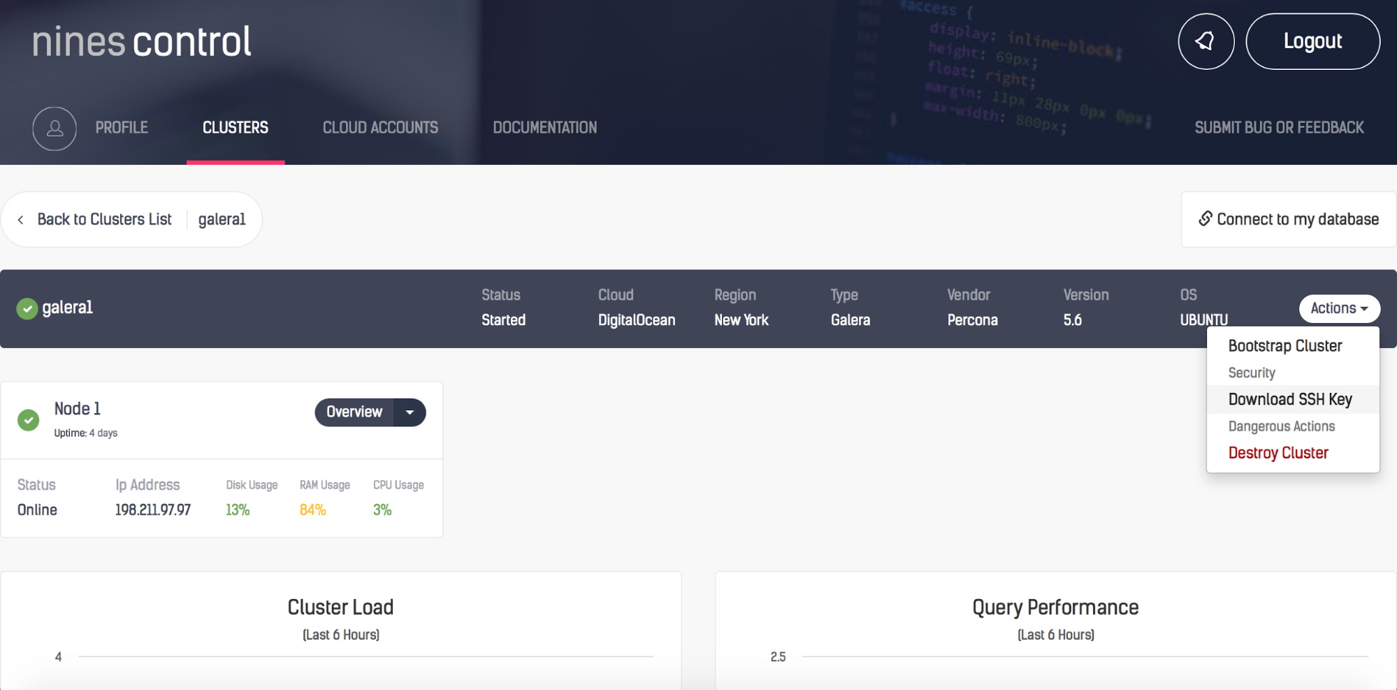 NinesControl screen with details of a cluster