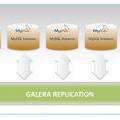 Galera Replication