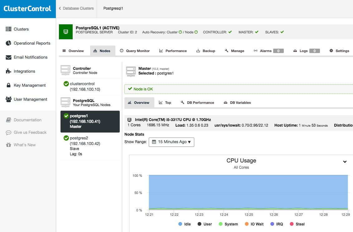 Cluster Nodes View