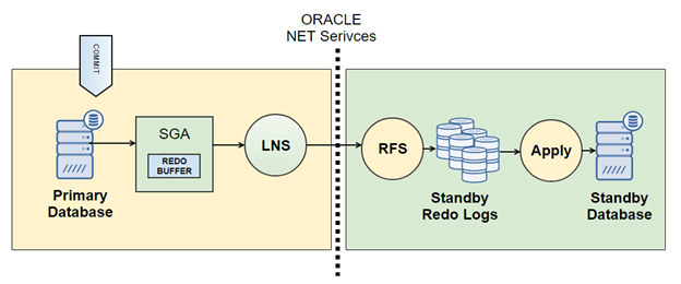 Oracle Data Guard Net Services