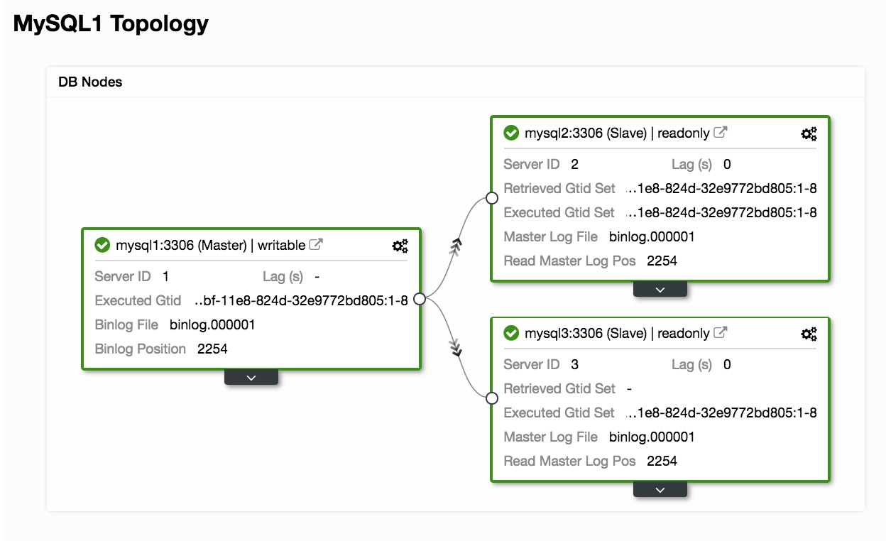 Topology View Replication 2