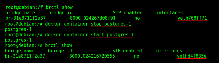 Checking how "iptables" makes the container names volatile for the Docker Host.