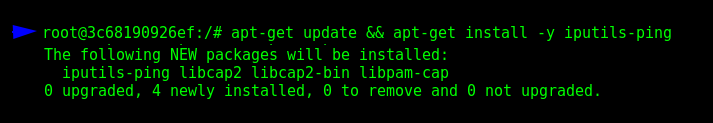 Installing the package "iputils-ping" for testing the DNS.
