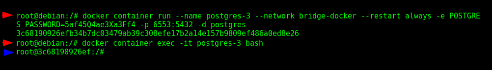 Running a temporary container to test the DNS provided by the User-Defined Bridge Network Interface.