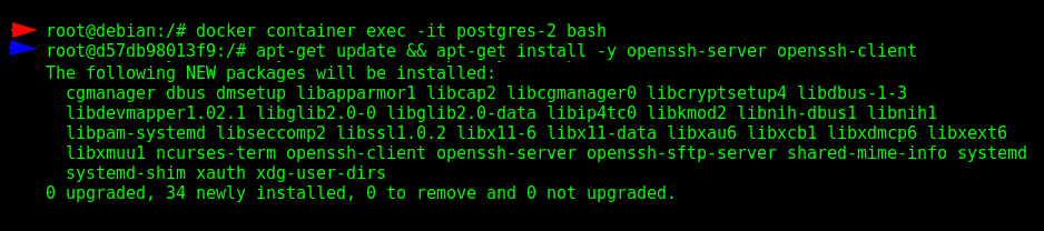 Installing SSH in the container "postgres-2"