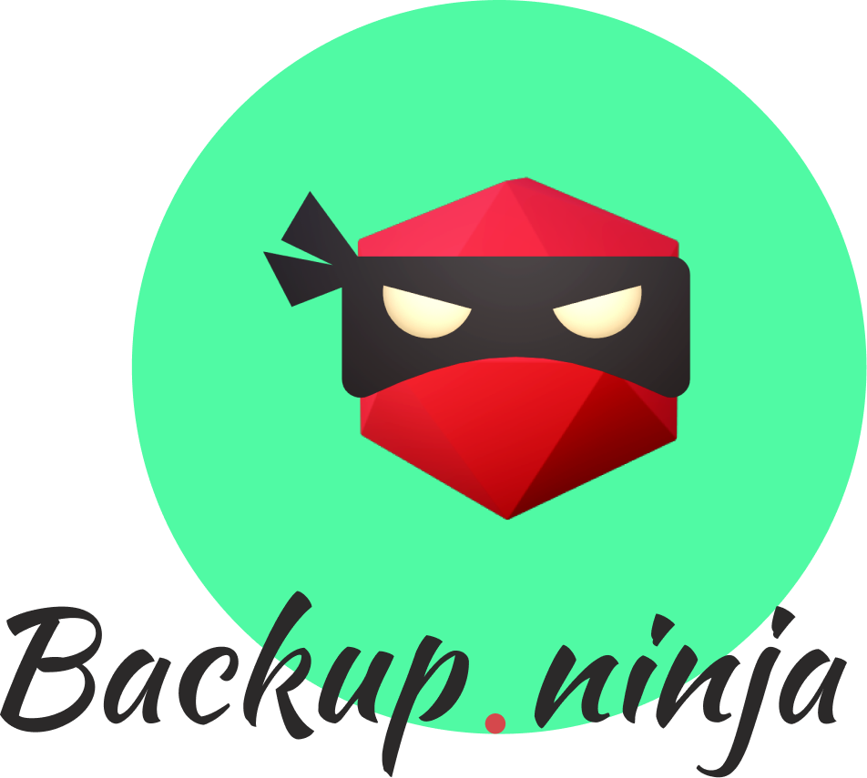 Backup Ninja Logo