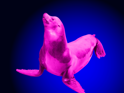 Highly Available MariaDB