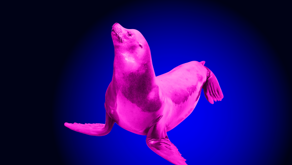 Highly Available MariaDB