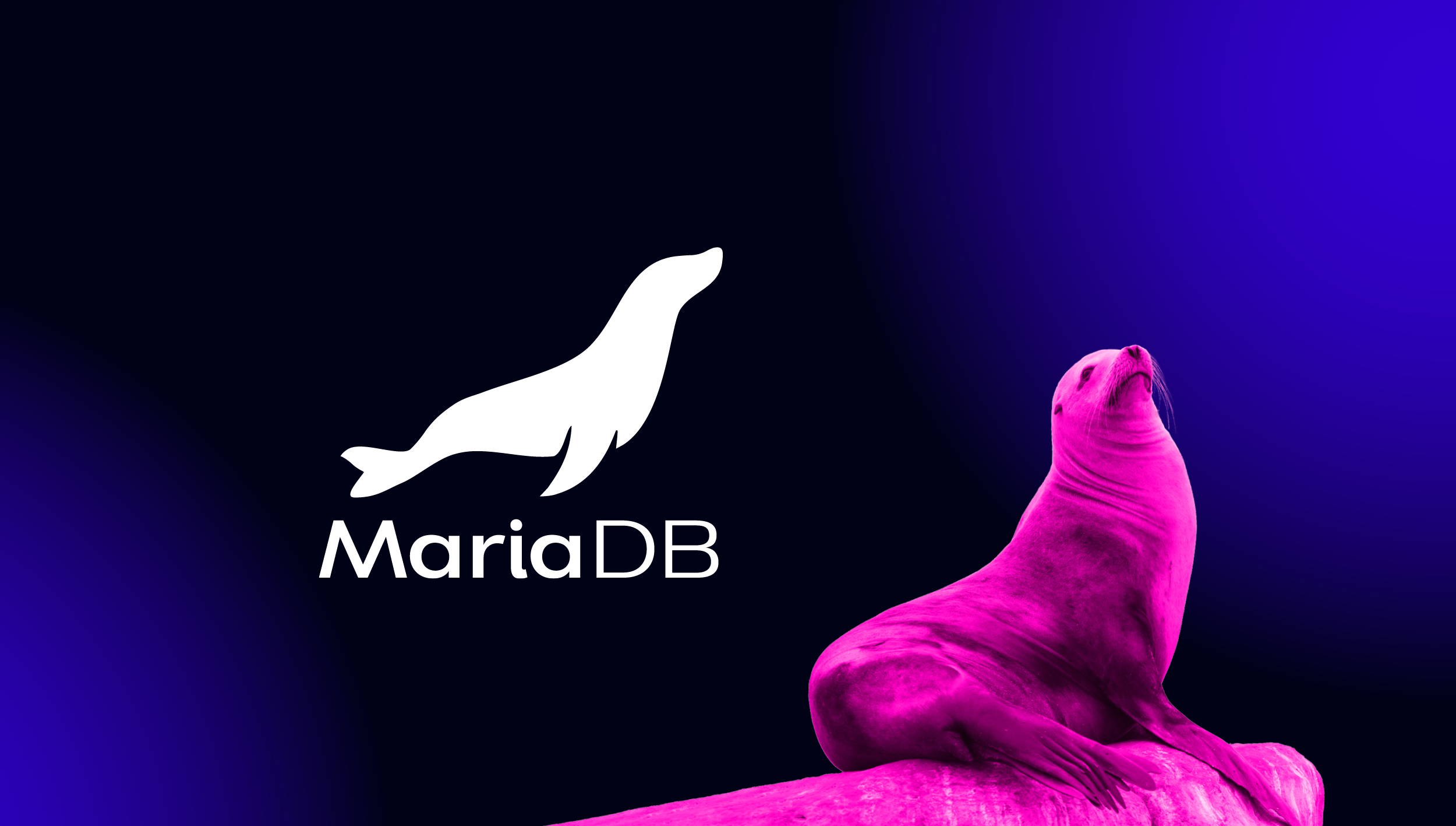 the-most-noteworthy-improvements-in-mariadb-10-11-severalnines