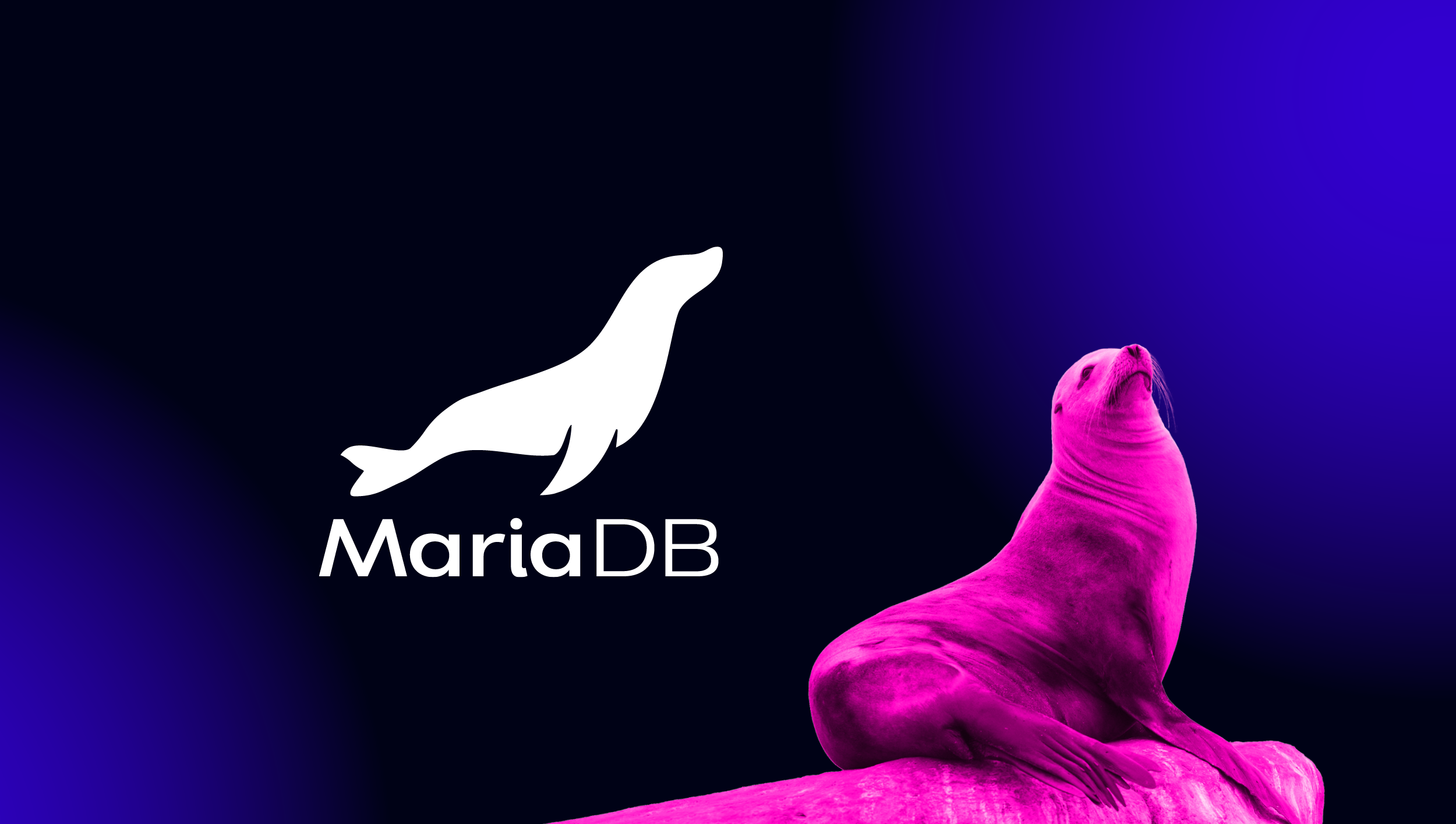 The Most Noteworthy Improvements In MariaDB 10 11 Severalnines