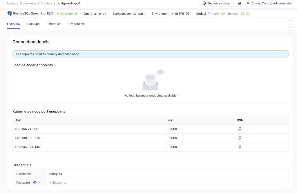 clustercontrol kubernetes environment postgres cluster overview ui