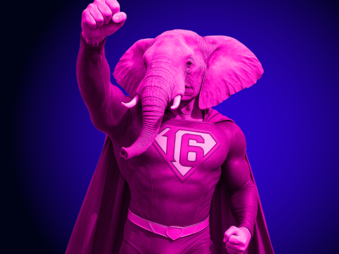 PostgreSQL 16